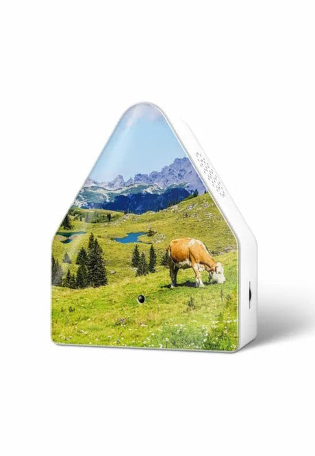 Relaxound Heidibox Speldosa Alperna Alpine Meadow