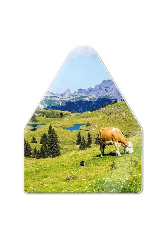 Relaxound Heidibox Speldosa Alperna Alpine Meadow