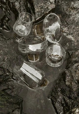 BLOMUS Koyoi Proseccoglas 20 cl