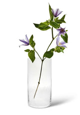 Spring Copenhagen Laine Vas 25 cm Klar